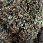 Sapphire Purple 15% CBD - Indoor