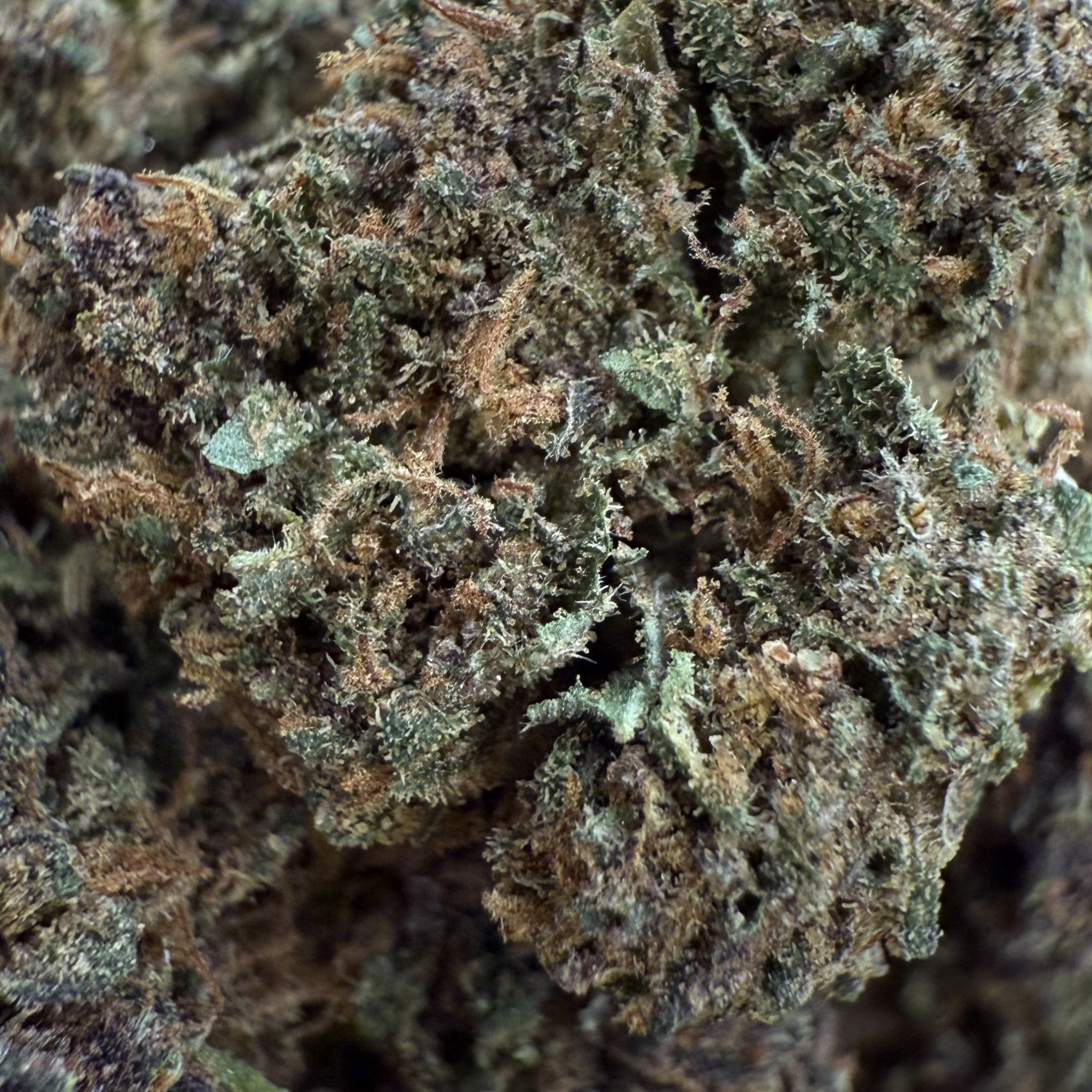 Sapphire Purple 15% CBD - Indoor