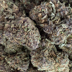 Sapphire Purple 15% CBD - Indoor