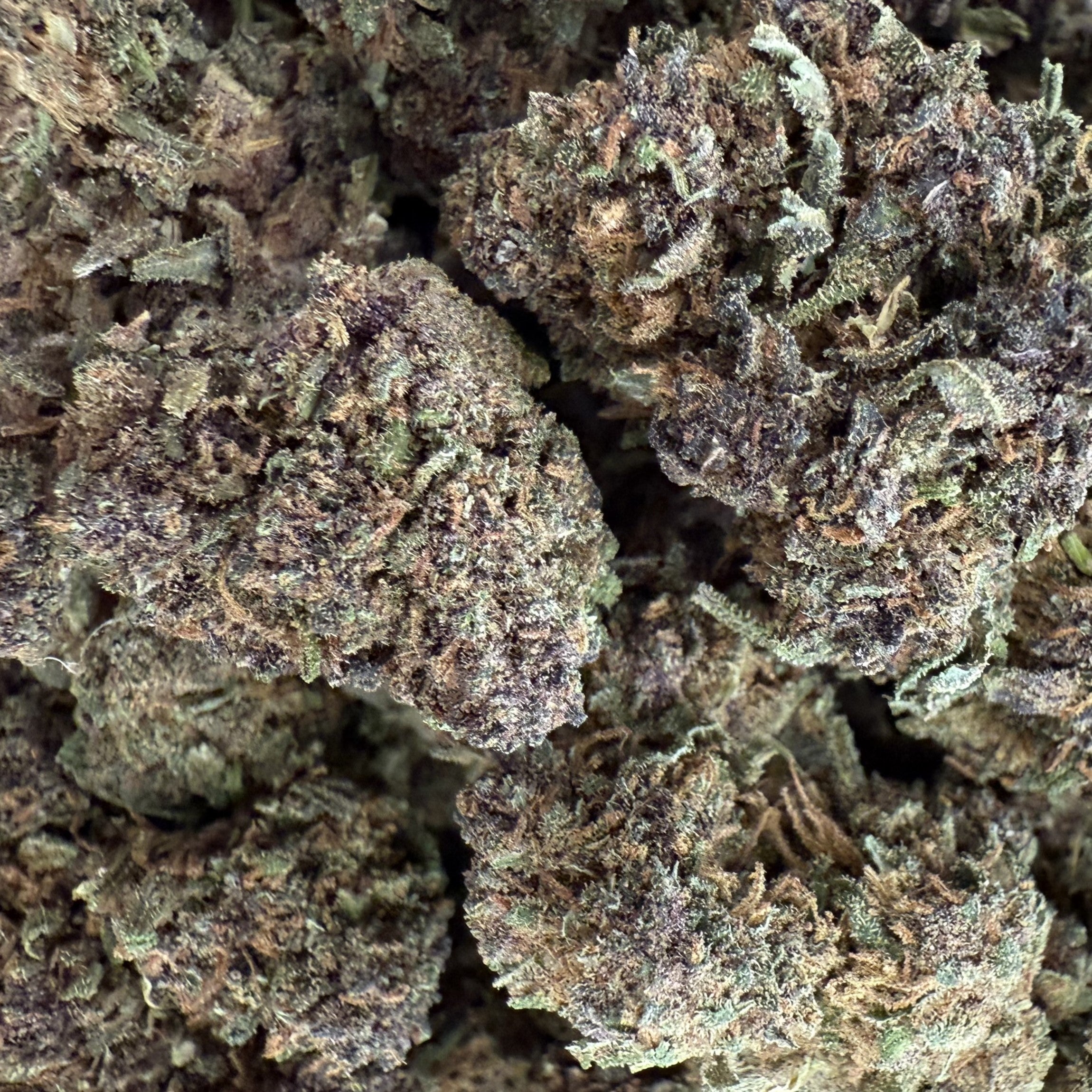 Sapphire Purple 15% CBD - Indoor