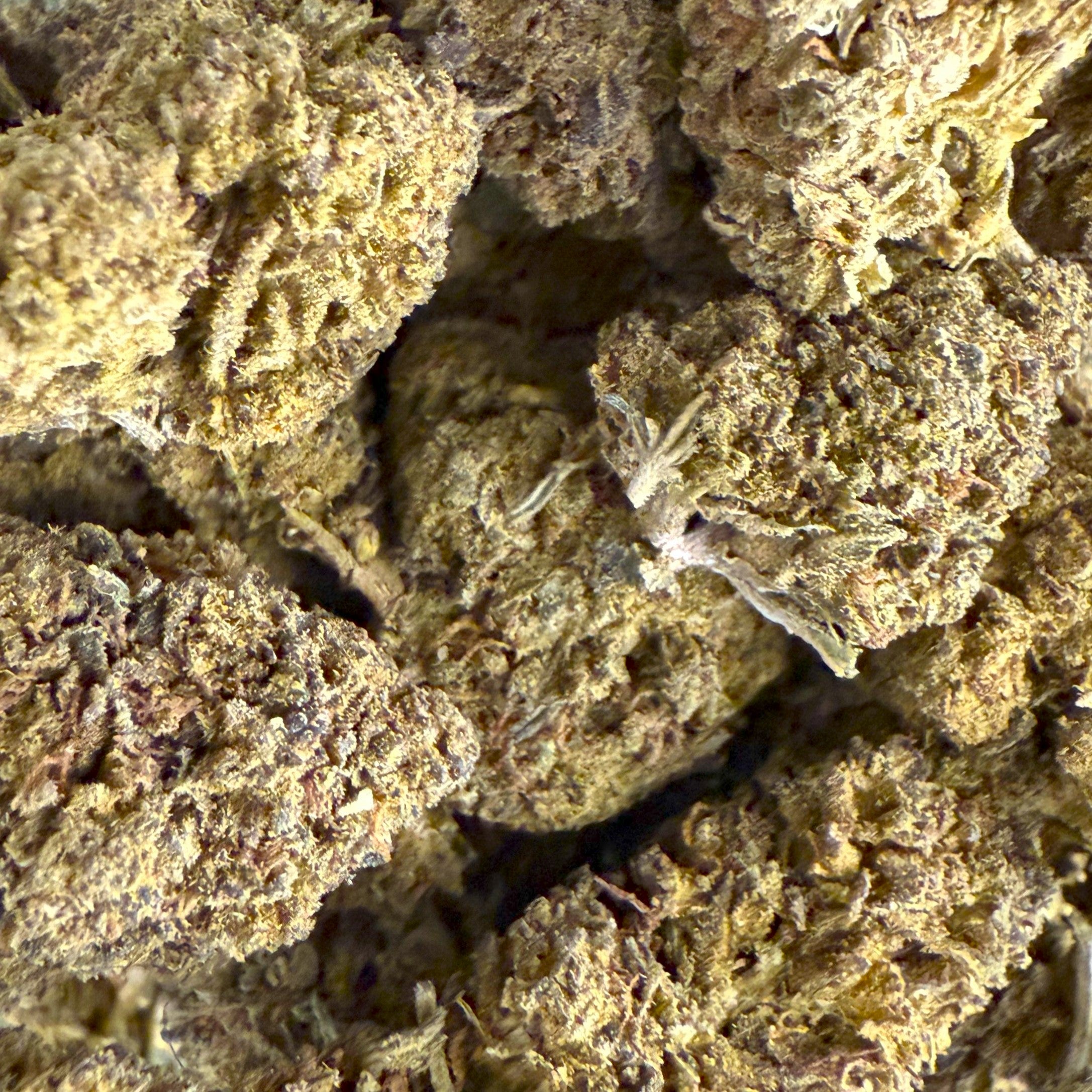 Fleur Acapulco HPC & CBD – indoor, vente en ligne premium, effet puissant – dès 4,89 €/g – Cdelafrappe