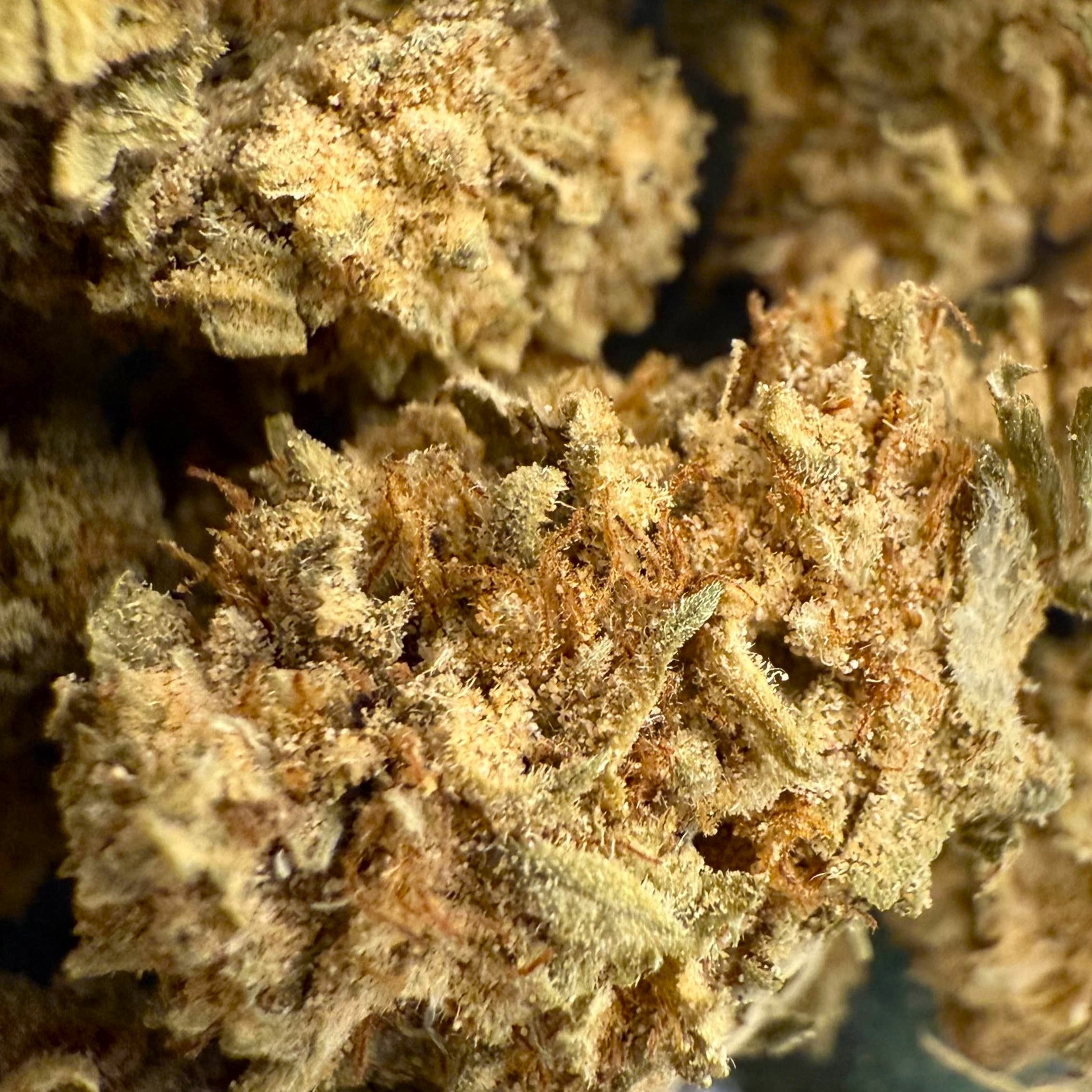 Banana Cream 12% CBG - GreenHouse