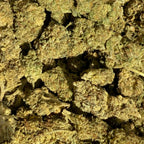 100G Blueberry kush HPC & CBD 15% - Sans THC - Indoor (Néo-Cannabinoïde) - Cdelafrappe