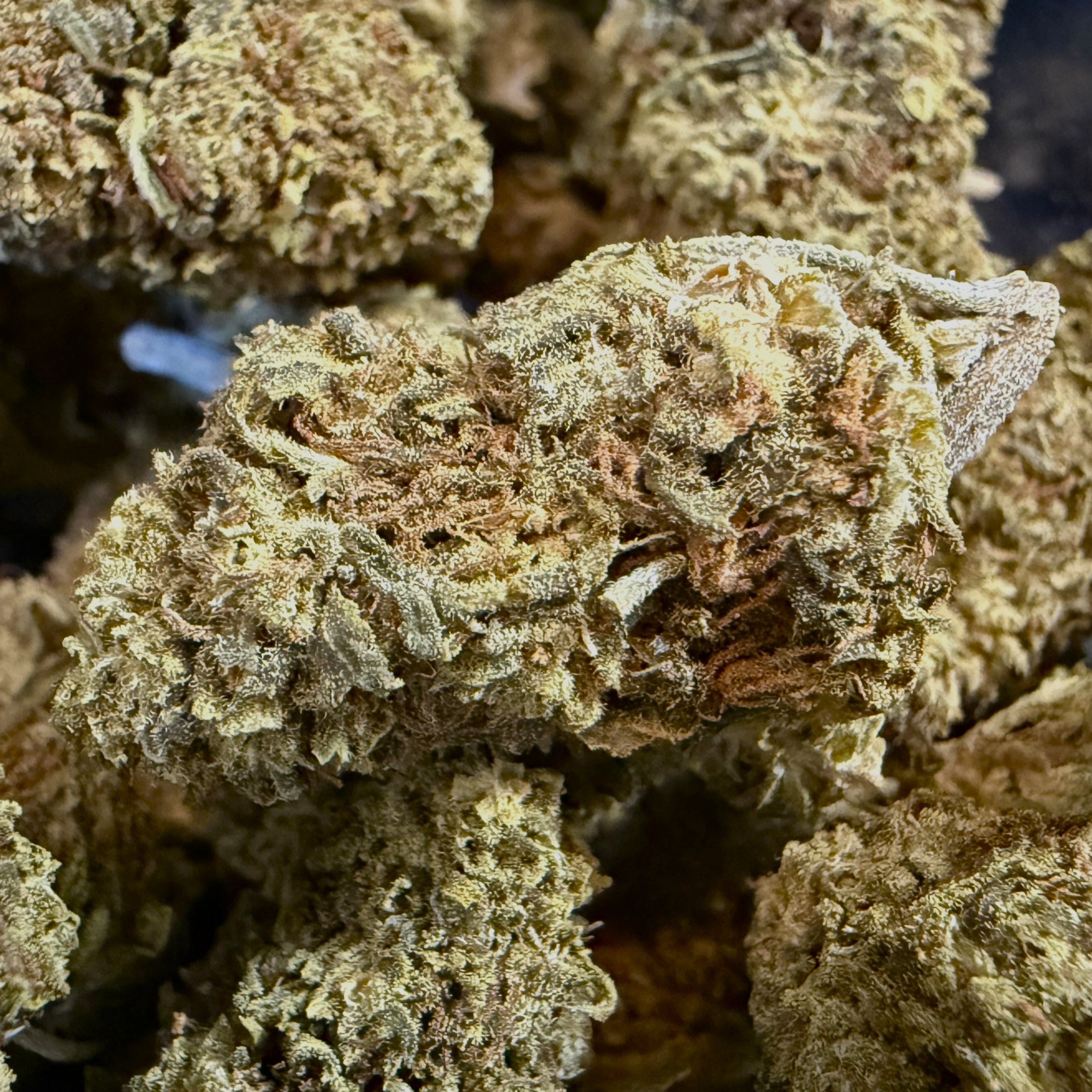 Blueberry Kush 15% HPC & CBD - Sans THC - Indoor (Néo-Cannabinoïde)