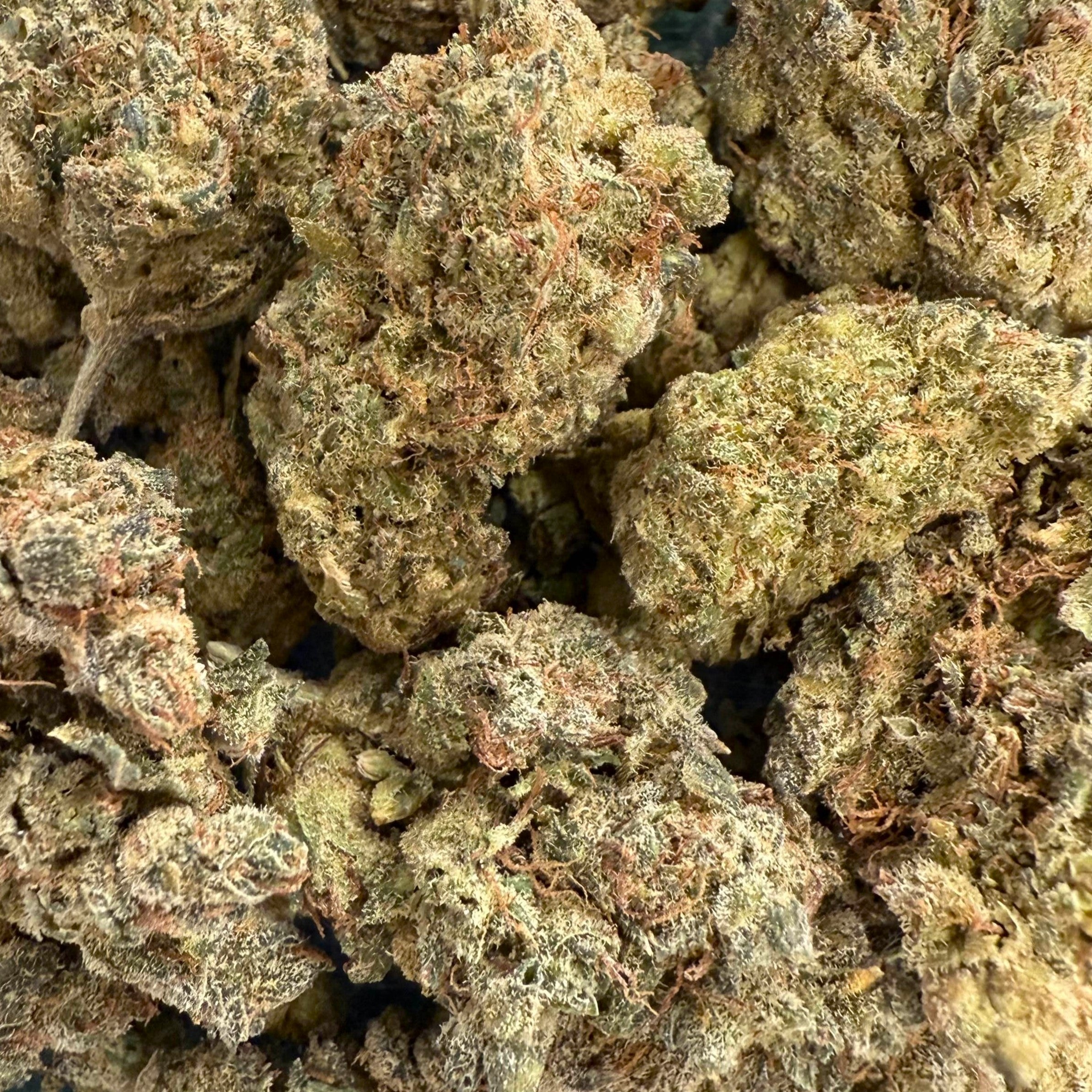 Charlotte's Angel 30% CBN hydroponique – fleur compacte et résineuse, effet puissant, soulage les troubles du sommeil – 5,83 €/g – Cdelafrappe