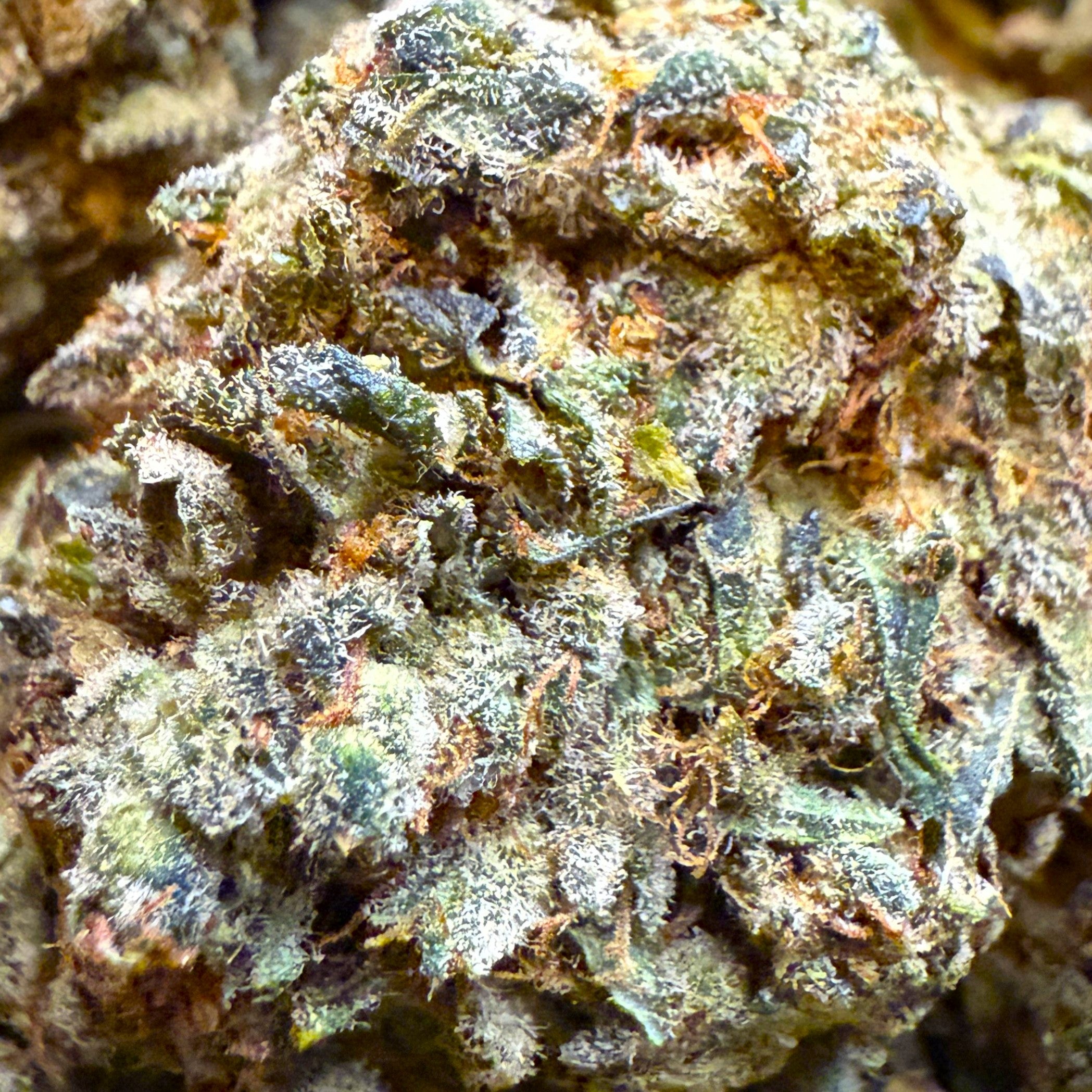 Charlotte's Angel 20% THC-X 2.0 - Hydroponique (Néo-cannabinoïde)