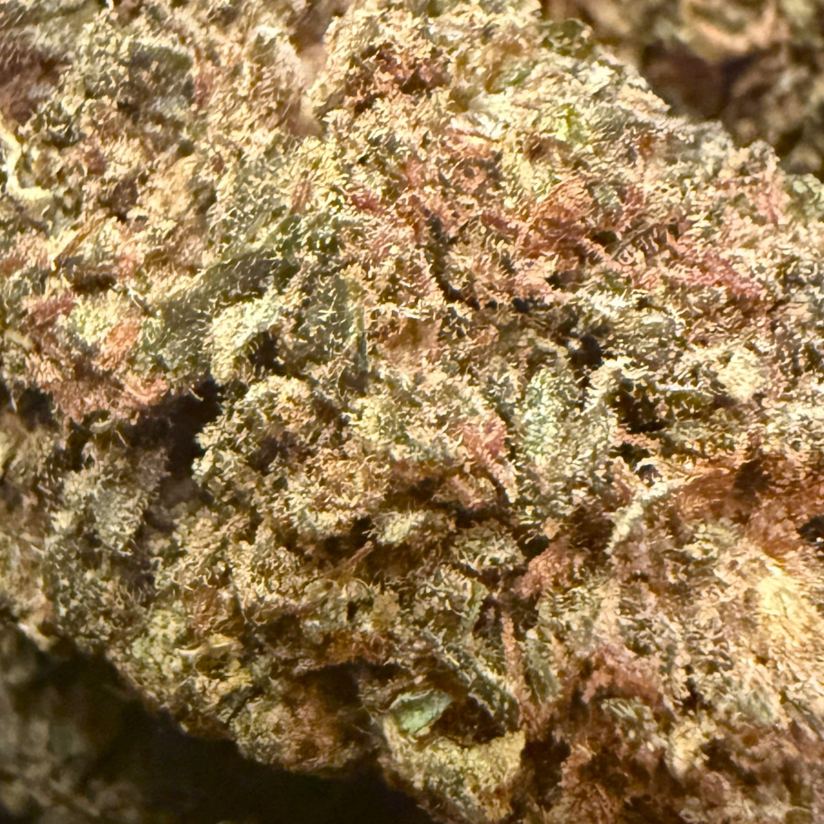 Critical Power THV-N10 - (Néo-cannabinoïde)