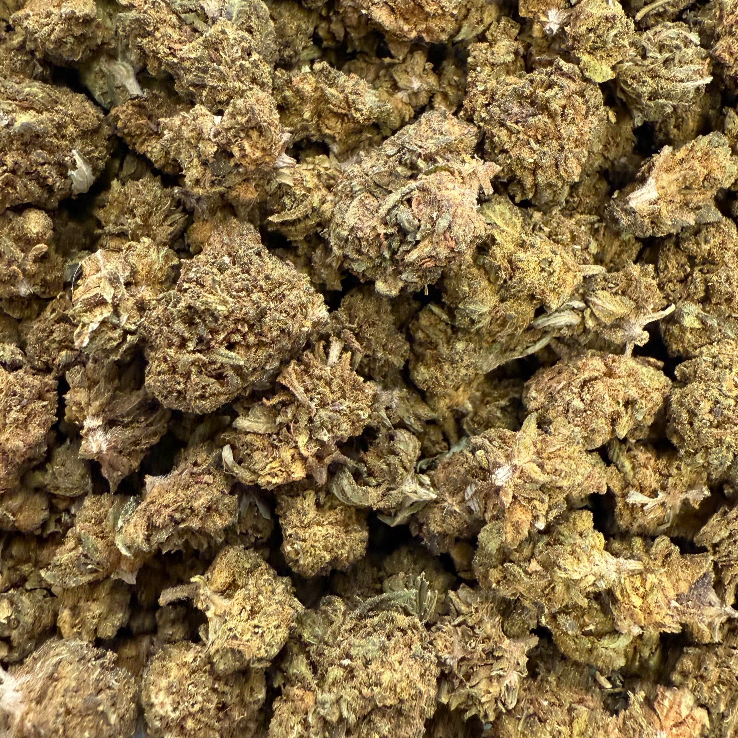 Fruity Budz CBD - Indoor