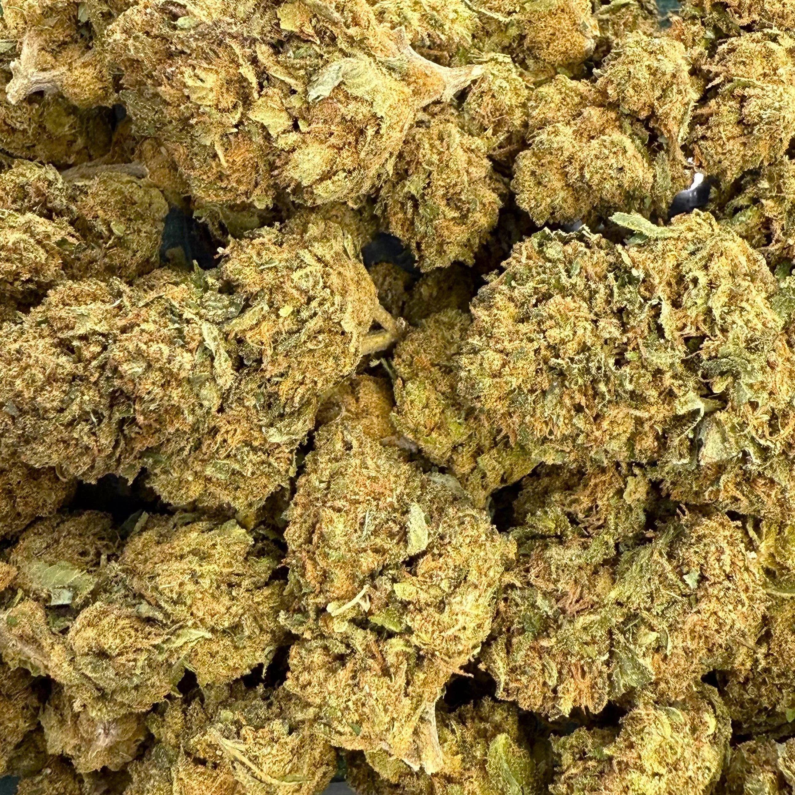 100G Harlequin 15% CBD - Indoor