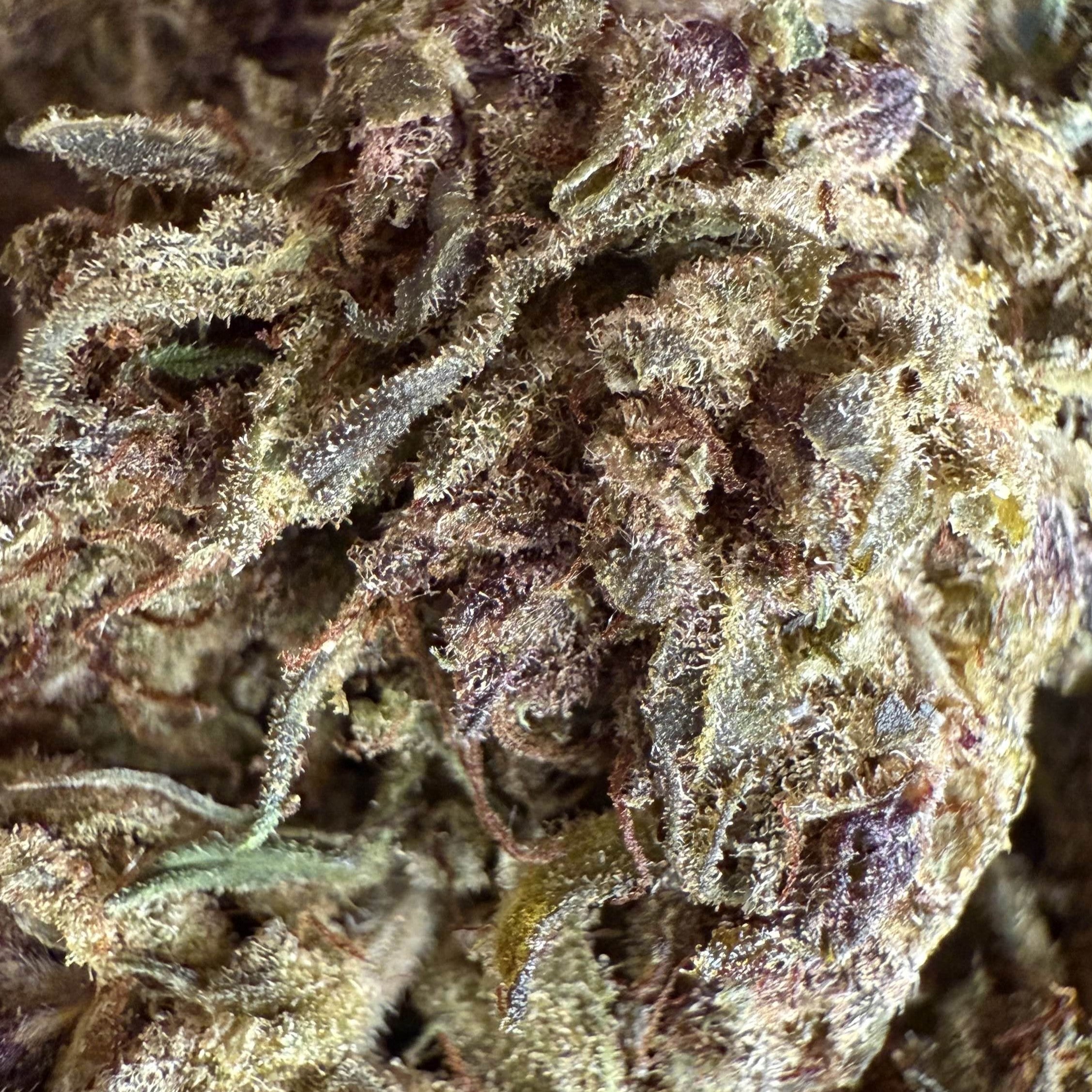 Fleur Blue Dream 30% CPR indoor – néo-cannabinoïde premium, couleur purple et texture résineuse – dès 5,64 €/g