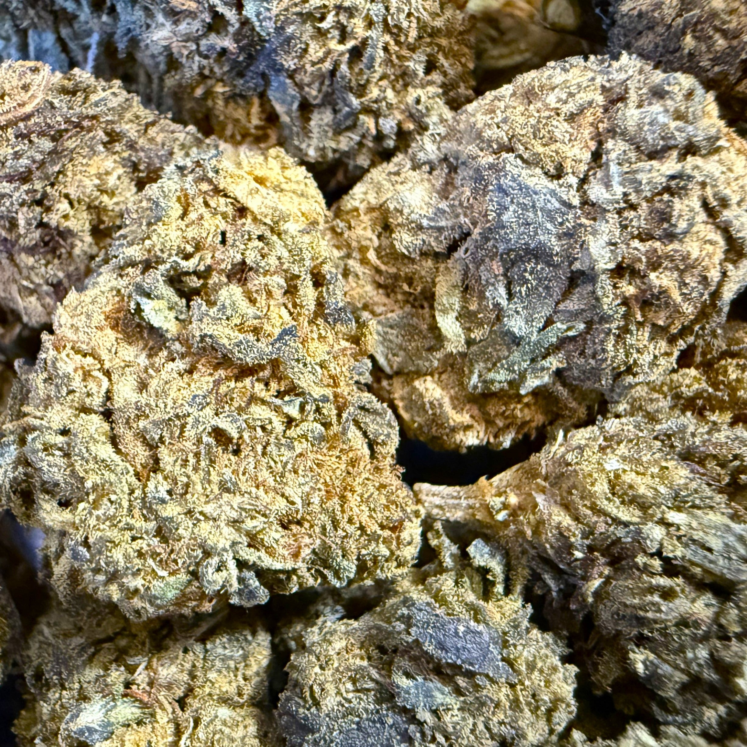 Mexican Sativa 10-OH-HHC 40% - Indoor (Néo-Cannabinoïde)