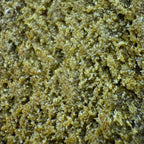 Oreo Cream CPR 40% (Néo-cannabinoïde)