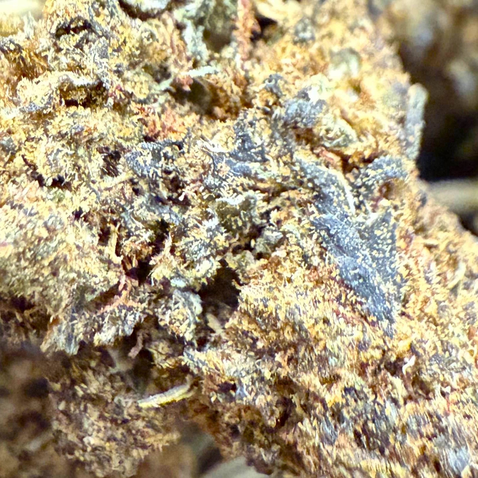 Résina Verde CBD - Green House