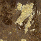 Filtré 90 micron 50% CBD