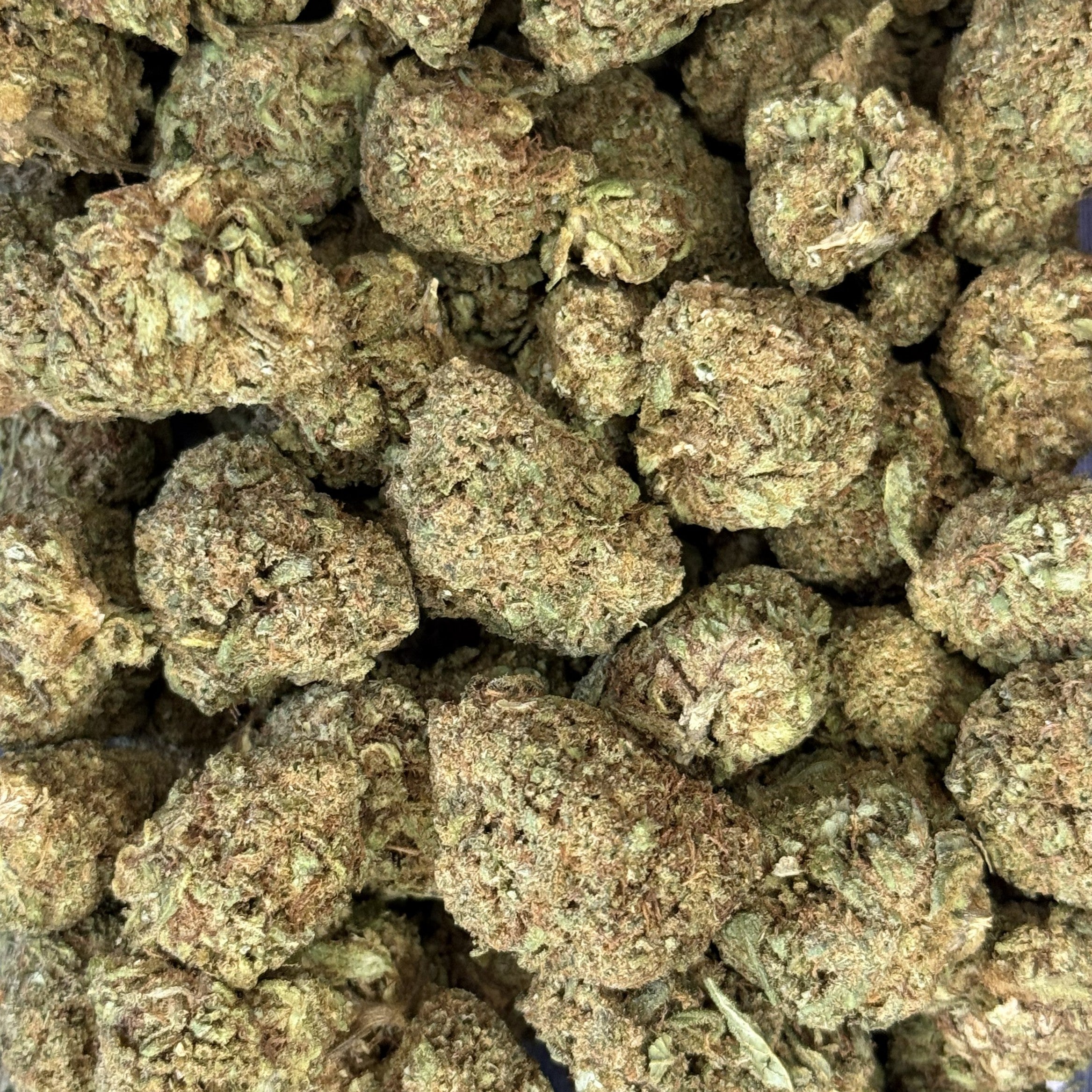 Blue Runtz 20% CBDX - Indoor (Néo-cannabinoïde)