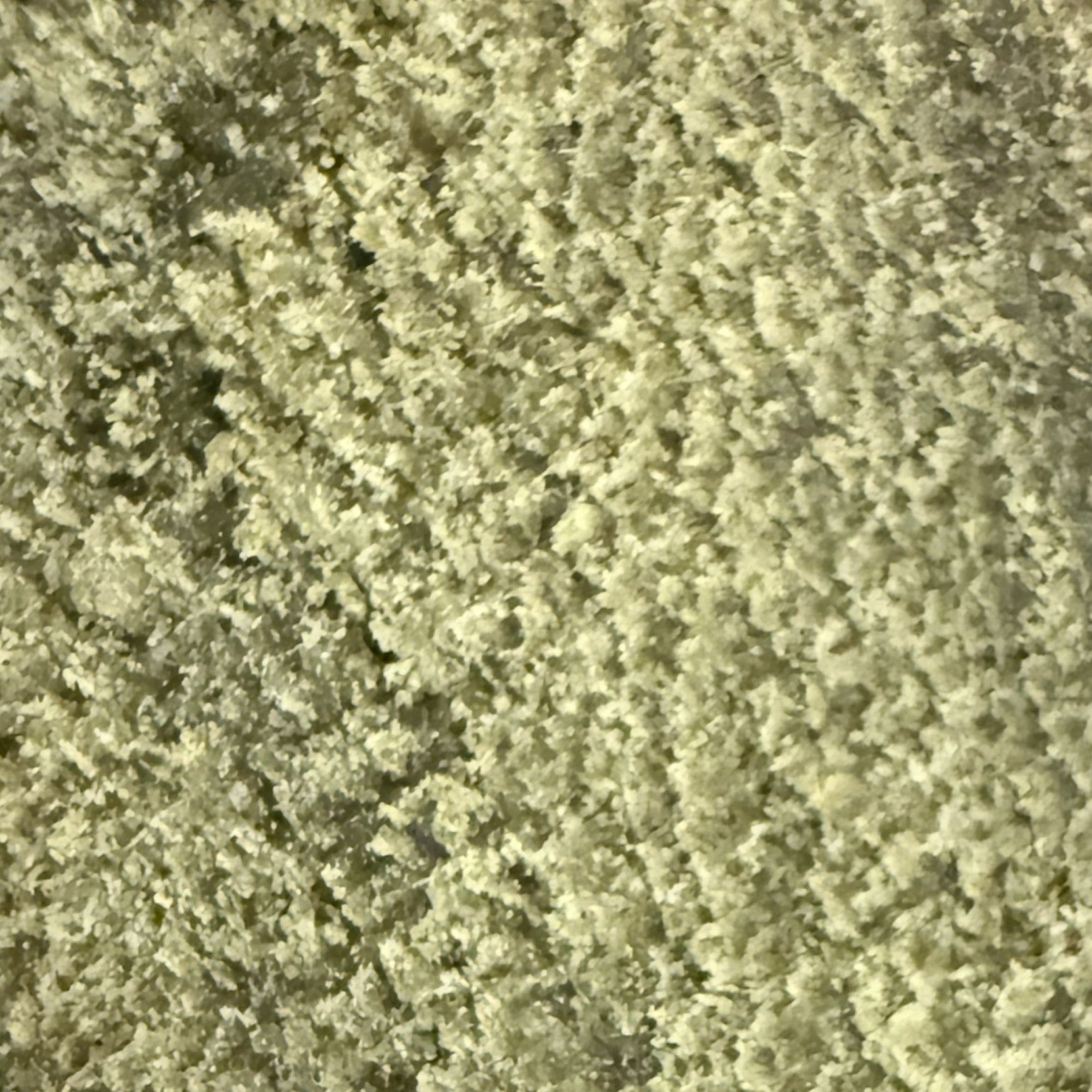 Static Dry Sift 30% THV-N10 - (Néo-Cannabinoïde)