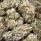 White Berry Haze CBG 15% - Sans THC - Greenhouse