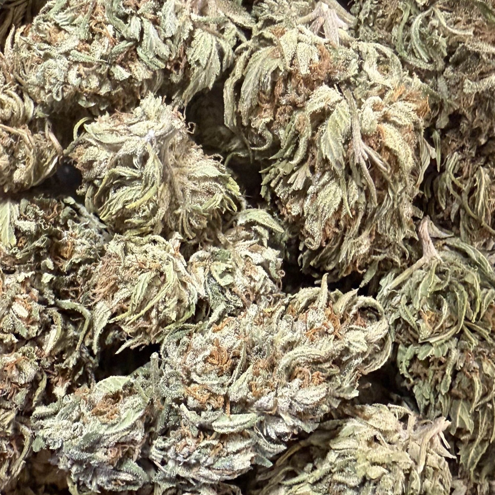 White Berry Haze CBG 15% - Sans THC - Greenhouse