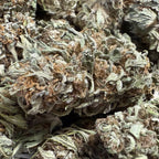 White Berry Haze CBG 15% - Sans THC - Greenhouse