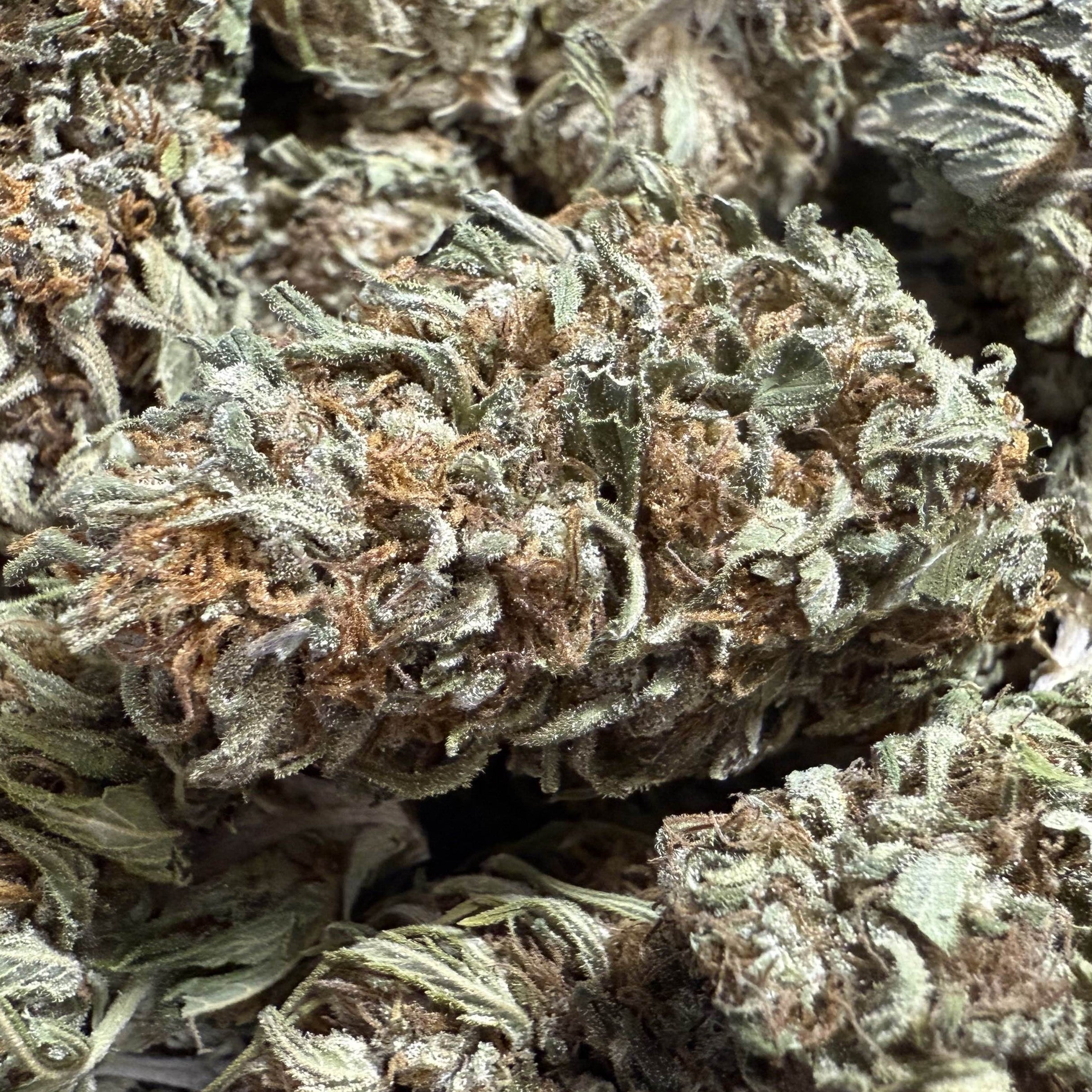 White Berry Haze CBG 15% - Sans THC - Greenhouse