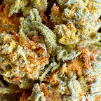 White Widow 15% CBD - Sans THC - Indoor