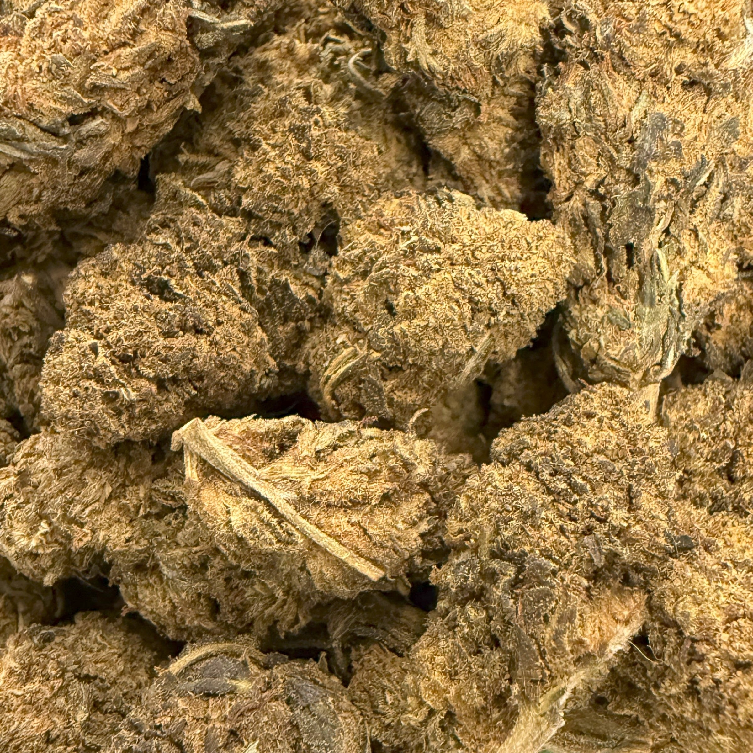 Fleur Mexican Sativa 40% 10-OH-HHC indoor – néo-cannabinoïde premium, effet puissant – dès 5,35 €/g – Cdelafrappe